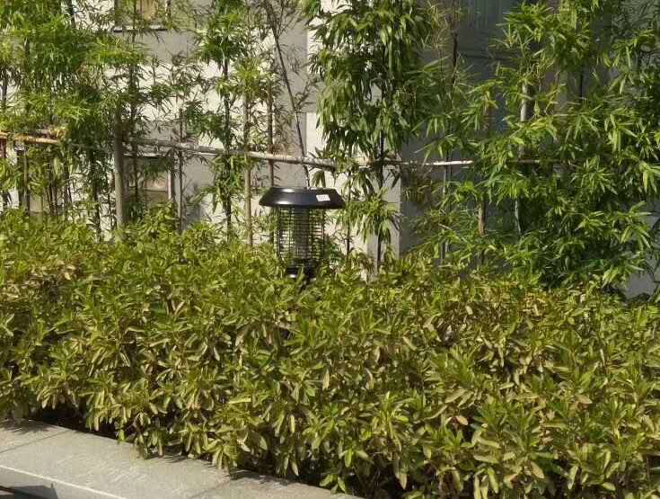 江西某小區安裝尚科戶外草坪燈效果