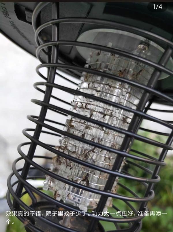 戶外滅蚊燈電網沾滿蚊子尸體