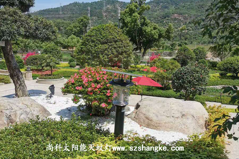 浙江溫州高檔小區太陽能室外殺蚊燈效果圖片