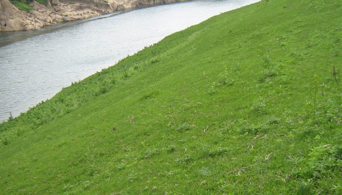 常見護(hù)坡樣式、特點(diǎn)及性能